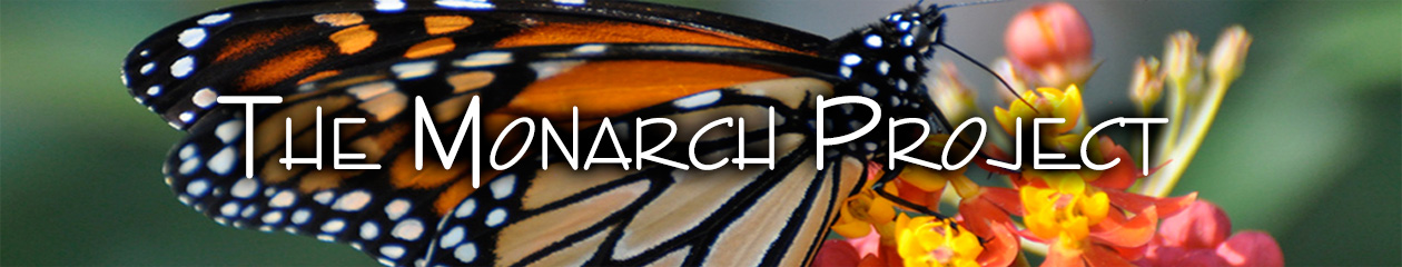 The Monarch Project
